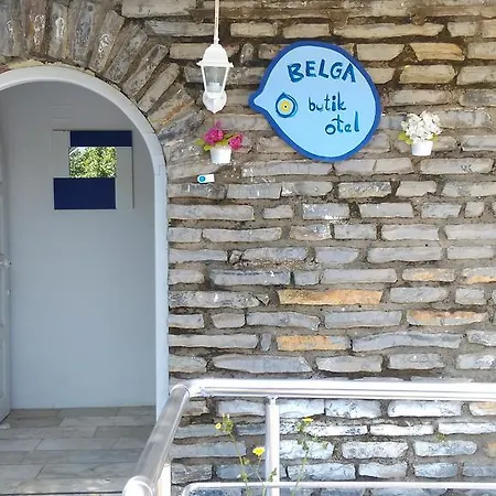 Casa de hóspedes Belga *