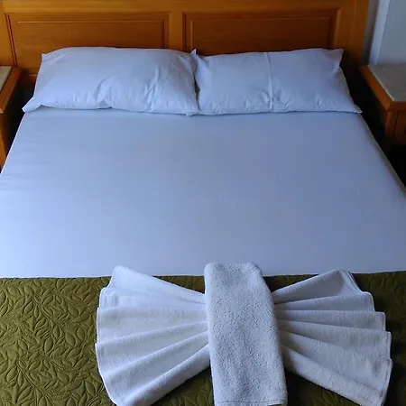 Belga Guest house *