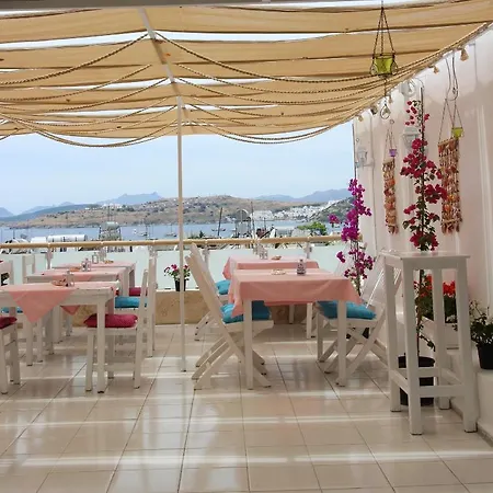 Belga Bodrum